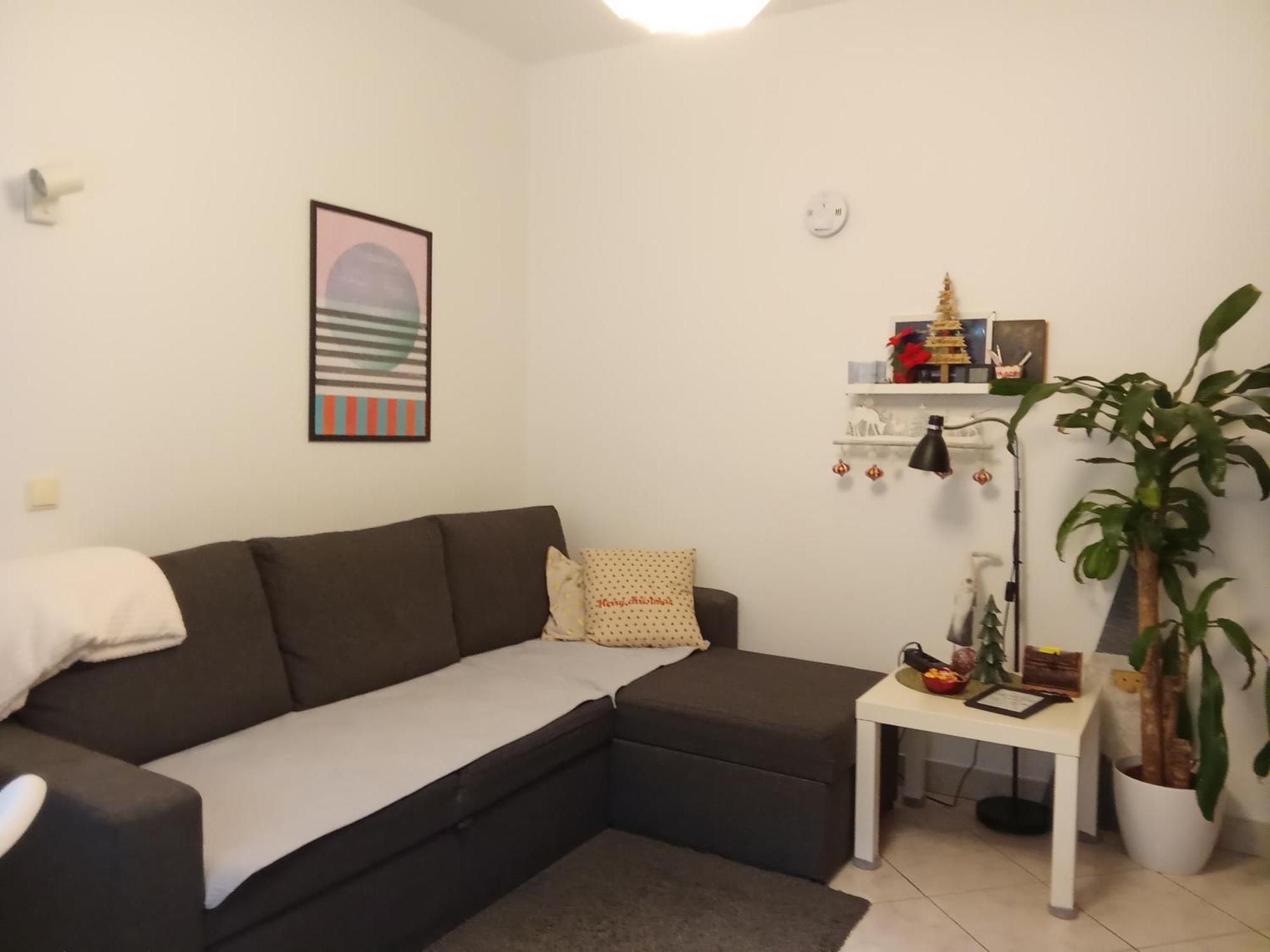 Apartman Malina 卡尔洛瓦茨 外观 照片