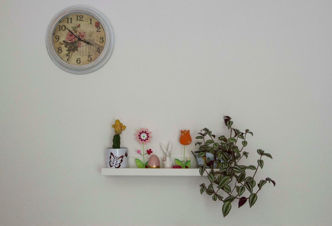 Apartman Malina 卡尔洛瓦茨 外观 照片